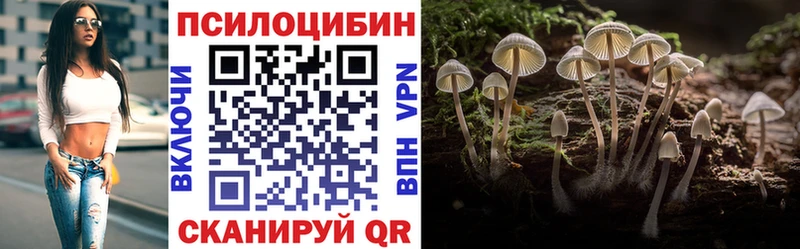 Псилоцибиновые грибы MAGIC MUSHROOMS  наркотики  Уварово 
